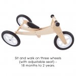 3-in-1 Balance Bike