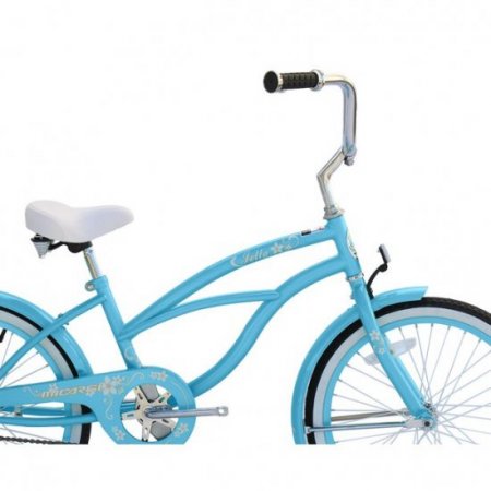 Wonder Wheels 20 Ft. Beach Cruiser Coaster Brake Single Speed Bicycle, Bike, Stainless Steel Spokes One Piece Crank Alloy Baby Blue Rims 36H - Baby Blue