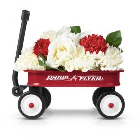 Radio Flyer, Little Red Toy Wagon (12.5"), Miniature Wagon, Red